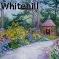 MEWhitehill